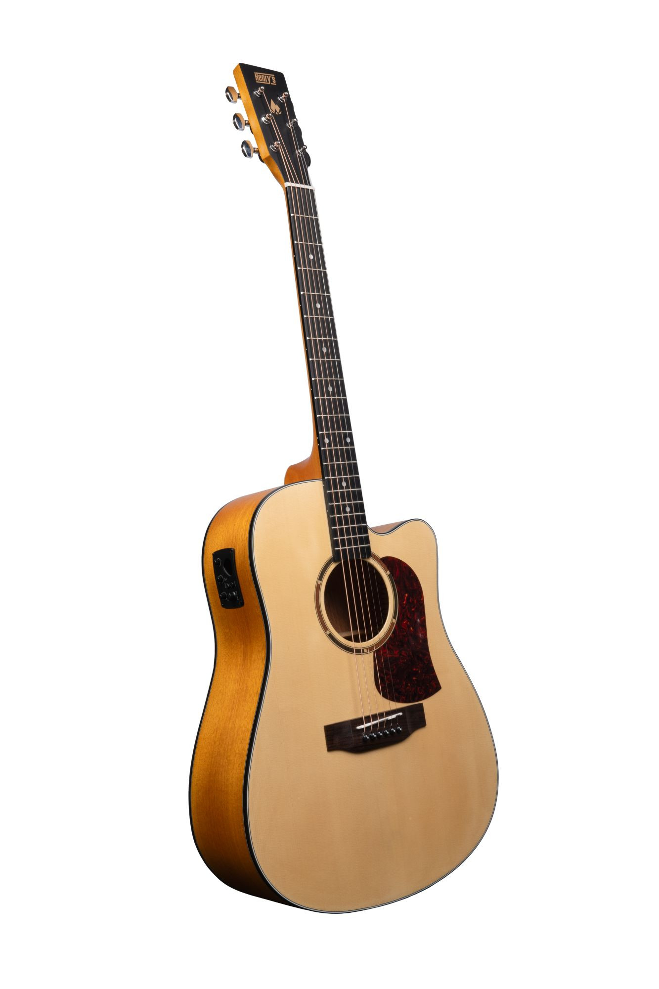 Galerijní obrázek č.2 Dreadnought HENRY’S Bonefire B101 EQ - Natural