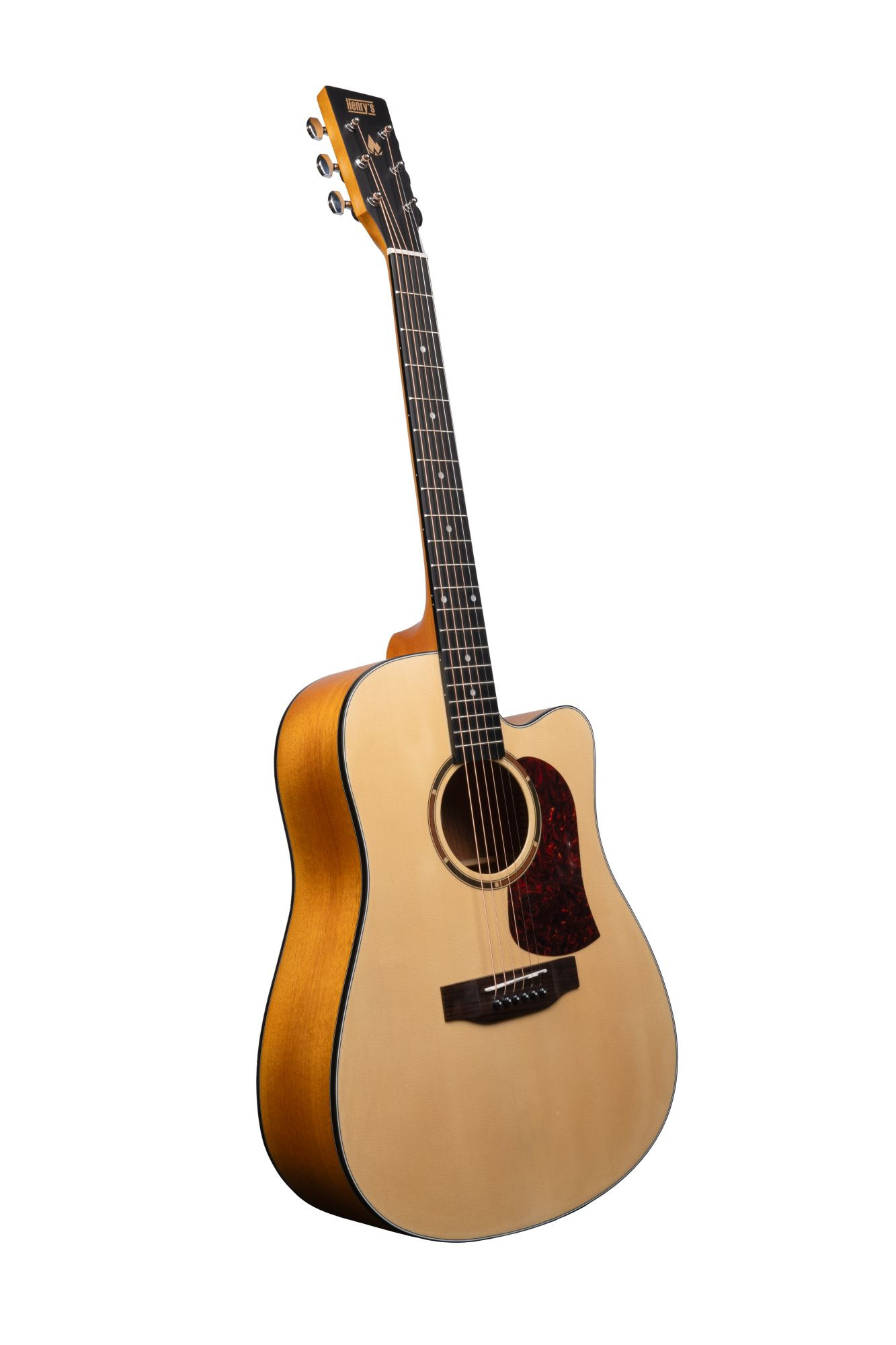 Galerijní obrázek č.2 Dreadnought HENRY’S Bonefire B101 - Natural