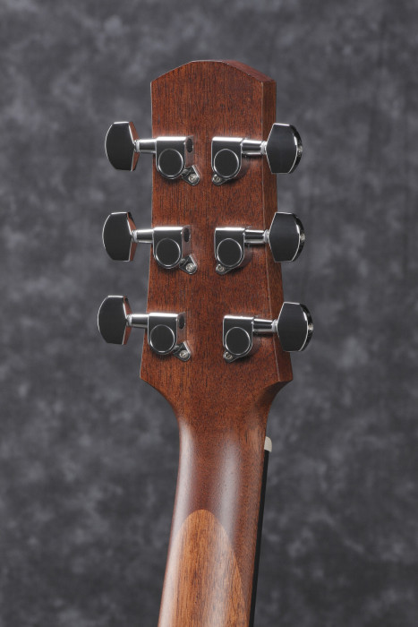 Hlavní obrázek Elektrické kytary IBANEZ AAD100E-OPN - Open Pore Natural