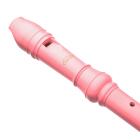 Galerijní obrázek č.1 Sopránové EASTAR ERS-21GP Soprano Recorder C - Pink