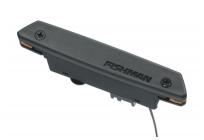 FISHMAN RareEarth Humbucker